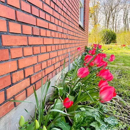 Tatil Evi Sunset Haven! Just 3min's To Lalandia Rødby